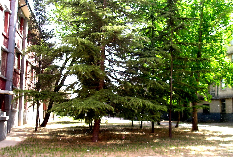 f0007580_19374059.jpg