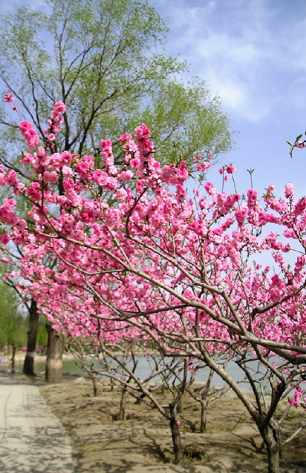 f0007580_19461668.jpg