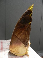 筍の季節がやってきました!_f0026093_0374068.jpg