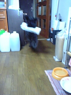 c0037701_22212246.jpg