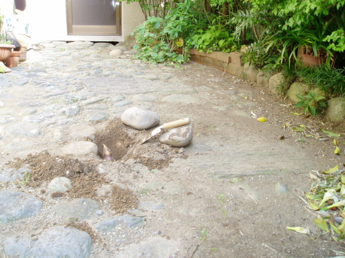 b0039310_745614.jpg