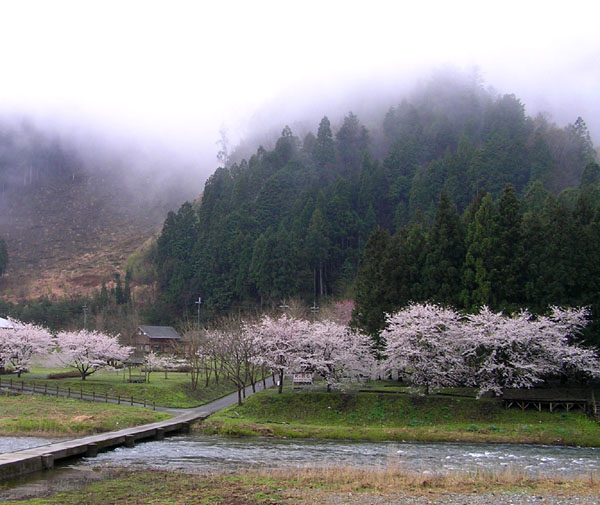 美山茅葺きの里の朝_e0048413_16204646.jpg