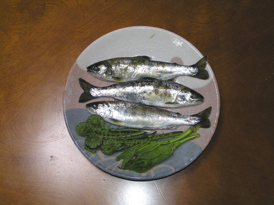 渓流釣りと山菜_e0048413_16354870.jpg