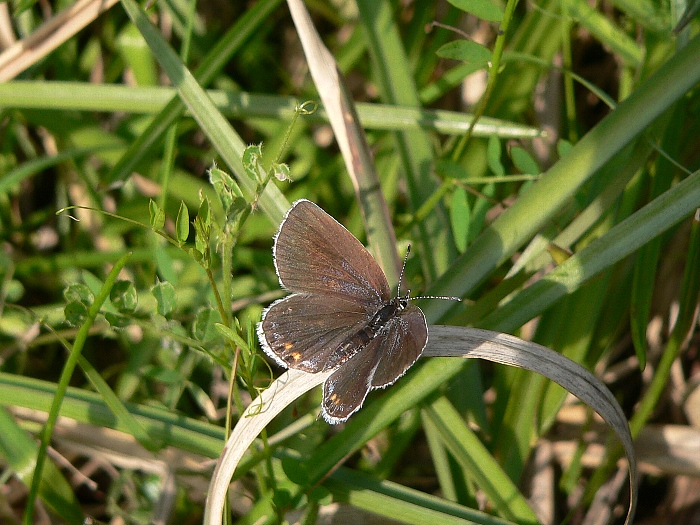 e0002314_20221445.jpg