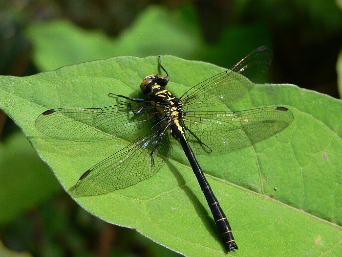 e0002314_2075515.jpg