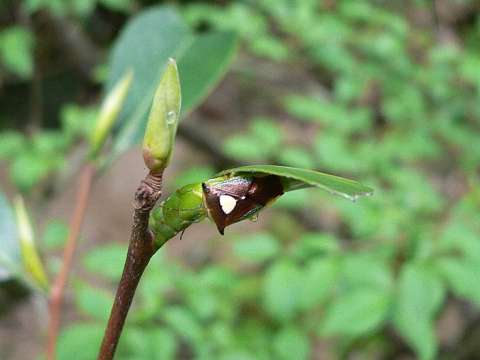 e0002314_209627.jpg