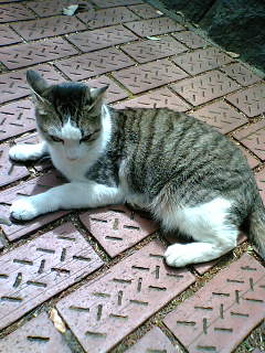a0052916_17221197.jpg