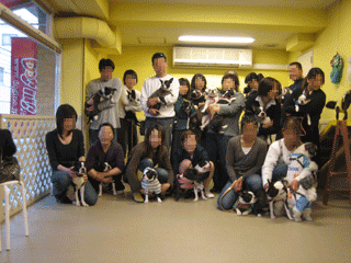 e0080117_22465992.gif