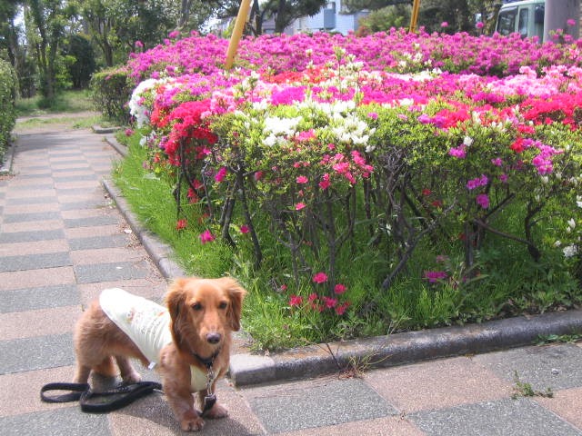 d0023818_9294680.jpg