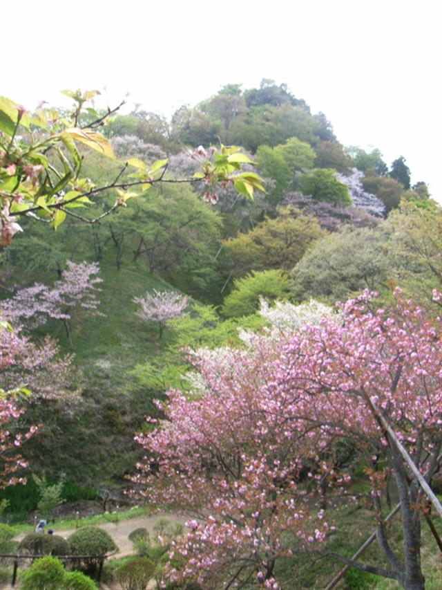 c0039428_22244288.jpg