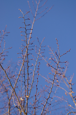f0108133_8372835.jpg