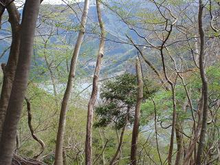 a0048040_20332125.jpg