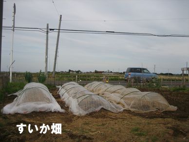 f0002750_14271076.jpg