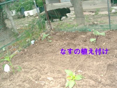 f0002750_14341415.jpg