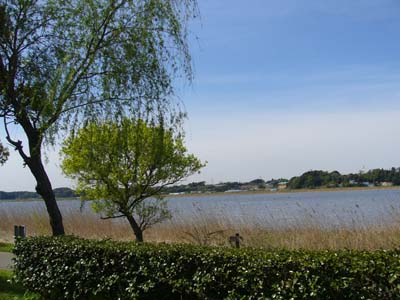 b0045357_1514474.jpg