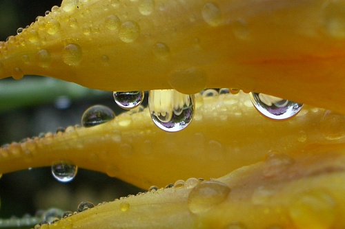f0104569_169165.jpg
