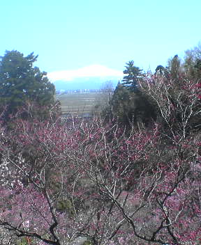 a0036384_10313917.jpg