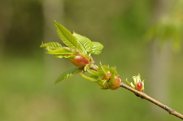 e0070891_20473325.jpg