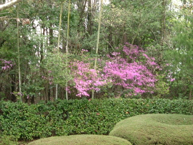 滋賀県立美術館　川端龍子展_b0044296_1922370.jpg