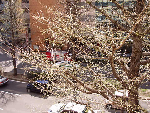 b0074601_2153852.jpg