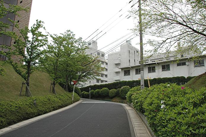 日本経済大学・保育短大・福祉大学_a0042310_19581376.jpg