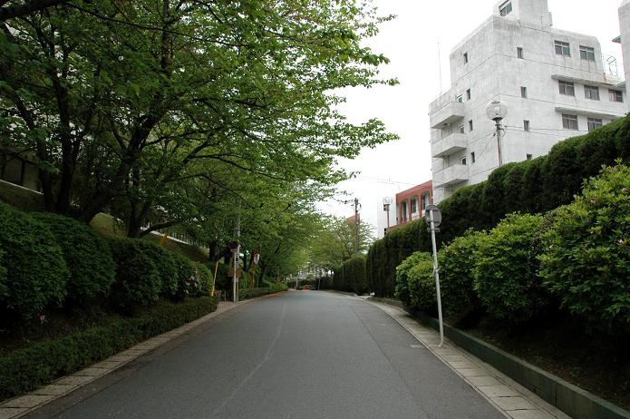 日本経済大学・保育短大・福祉大学_a0042310_19584054.jpg