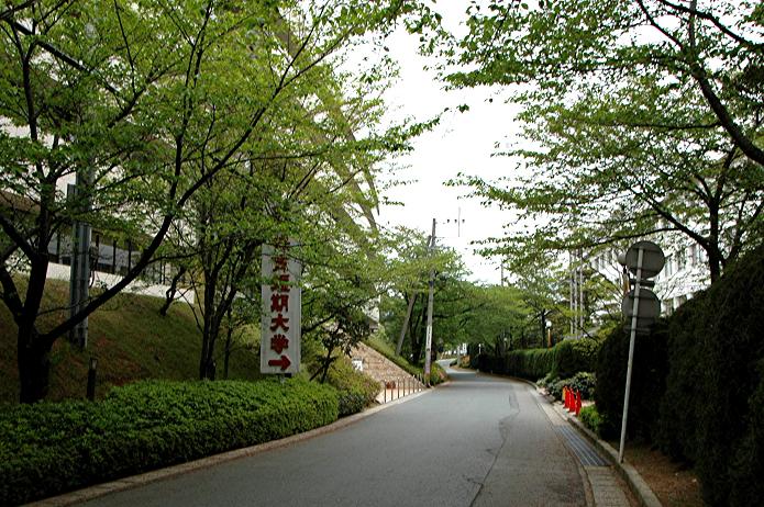 日本経済大学・保育短大・福祉大学_a0042310_200560.jpg