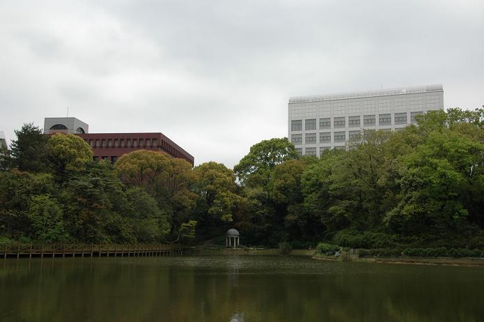 日本経済大学・保育短大・福祉大学_a0042310_20101629.jpg