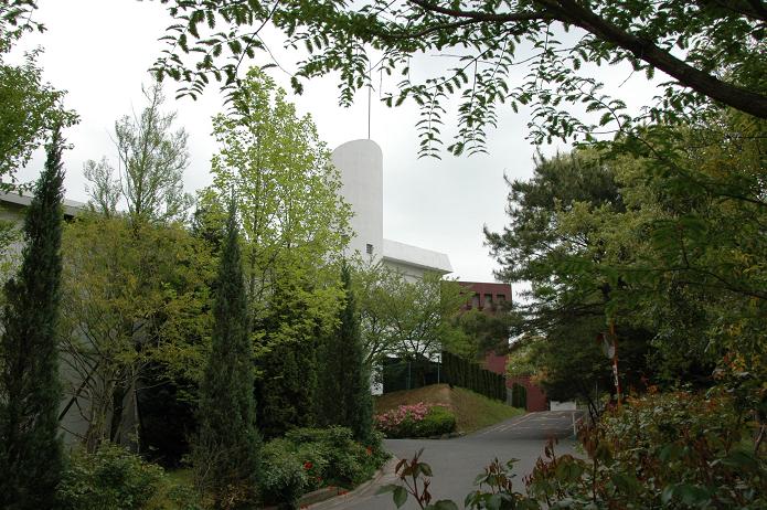 日本経済大学・保育短大・福祉大学_a0042310_20105797.jpg