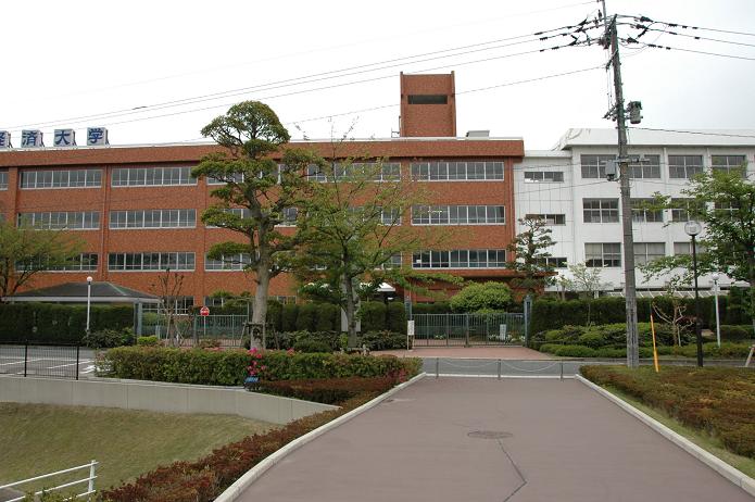 日本経済大学・保育短大・福祉大学_a0042310_2042888.jpg