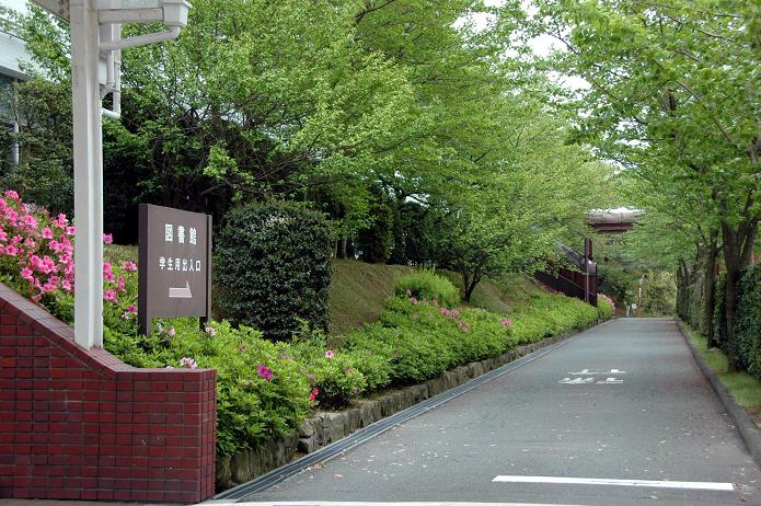 日本経済大学・保育短大・福祉大学_a0042310_2052395.jpg