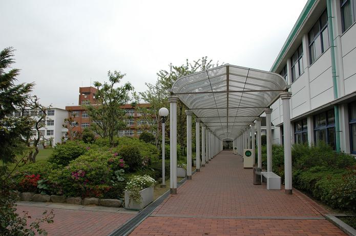 日本経済大学・保育短大・福祉大学_a0042310_2063260.jpg