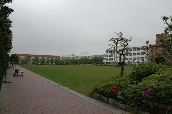 日本経済大学・保育短大・福祉大学_a0042310_2071227.jpg