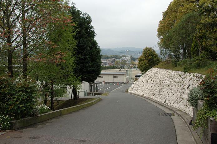 日本経済大学・保育短大・福祉大学_a0042310_2083532.jpg
