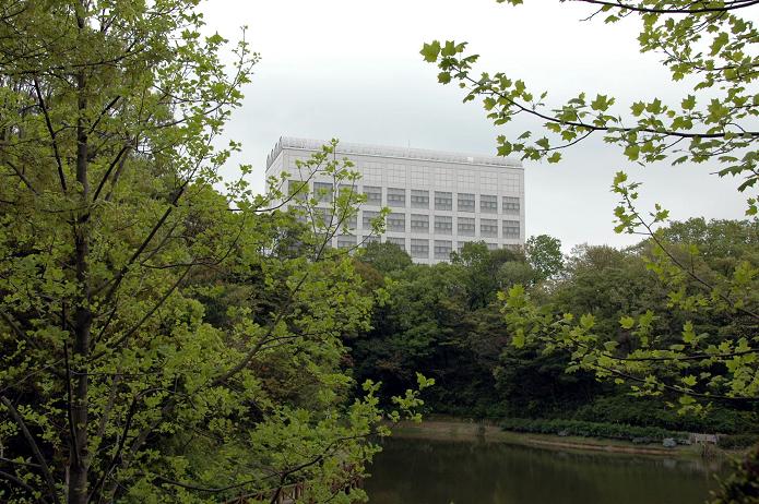 日本経済大学・保育短大・福祉大学_a0042310_2085224.jpg