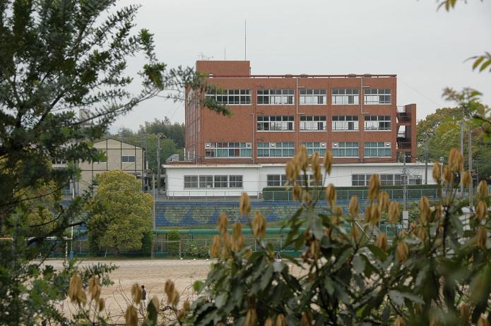 日本経済大学・保育短大・福祉大学_a0042310_209308.jpg