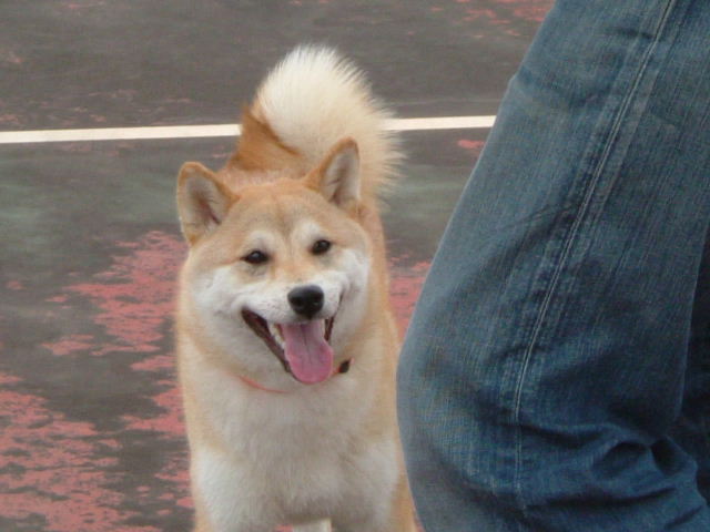 e0090110_10181184.jpg
