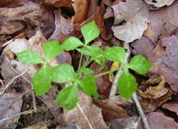 e0003943_19203436.jpg