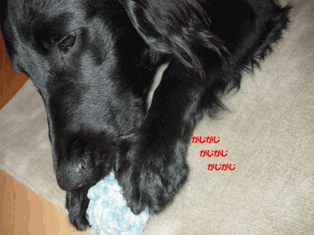 f0018144_15304518.gif