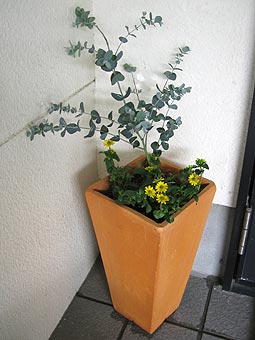 e0079765_19103420.jpg