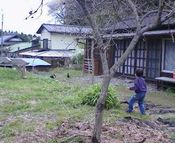 f0045667_8163646.jpg