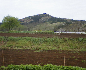 f0045667_8263545.jpg