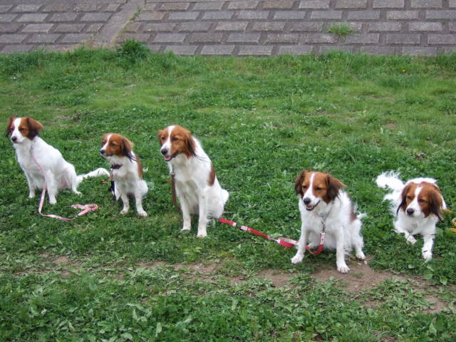 c0075585_07792.jpg