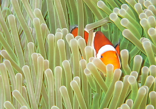 f0080385_14136.jpg