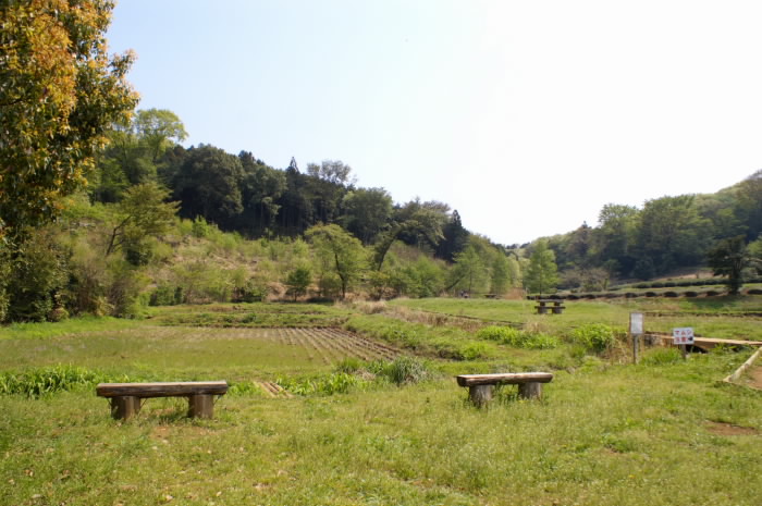 b0078795_20481649.jpg