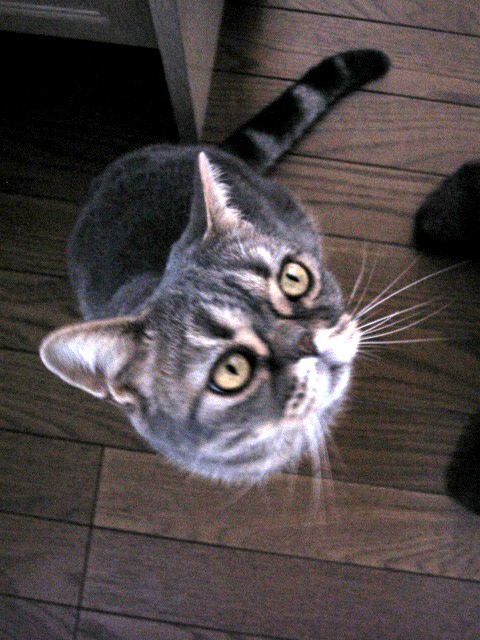 a0048197_20404396.jpg