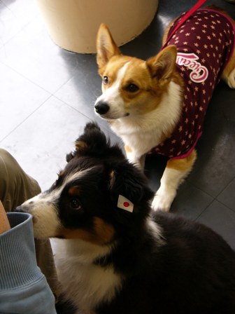f0077697_131991.jpg