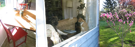 002【Salt Spring Island】_b0071712_21101560.jpg