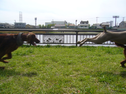 f0083013_1547235.jpg