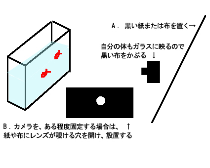 別世界の彼ら_f0100215_10431146.jpg